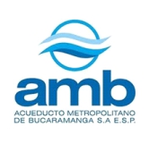 amb