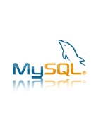 6mysql